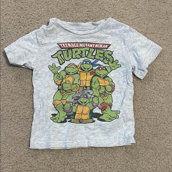 Nickelodeon Teenage Mutant Ninja Turtles Gray T-Shirt - Picture 1 of 2